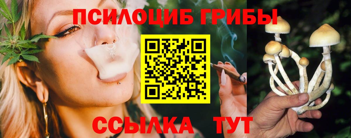 Псилоцибиновые грибы Magic Shrooms Грозный